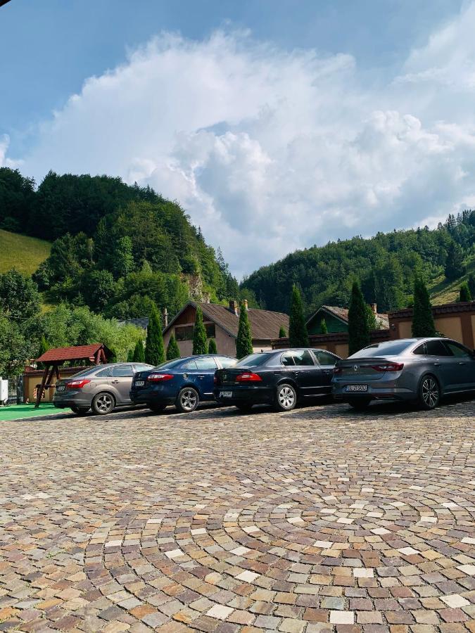 Pensiune Restaurant Piatra Craiului Dîmbovicioara Kültér fotó