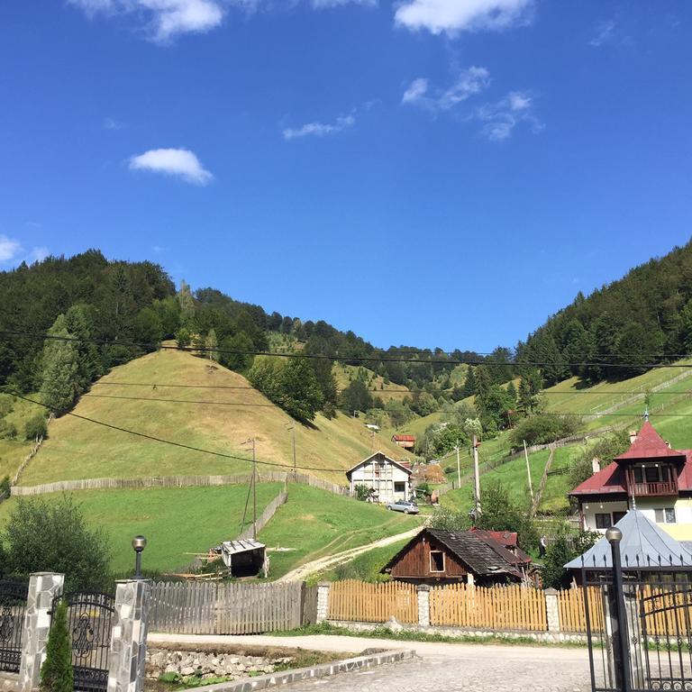 Pensiune Restaurant Piatra Craiului Dîmbovicioara Kültér fotó