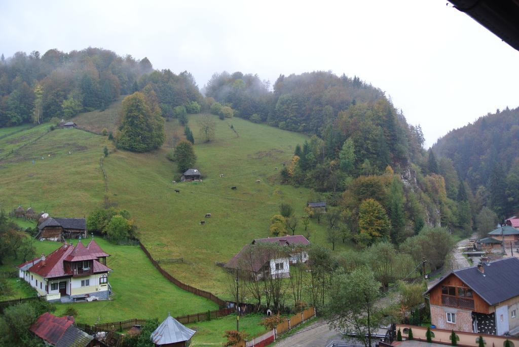 Pensiune Restaurant Piatra Craiului Dîmbovicioara Kültér fotó
